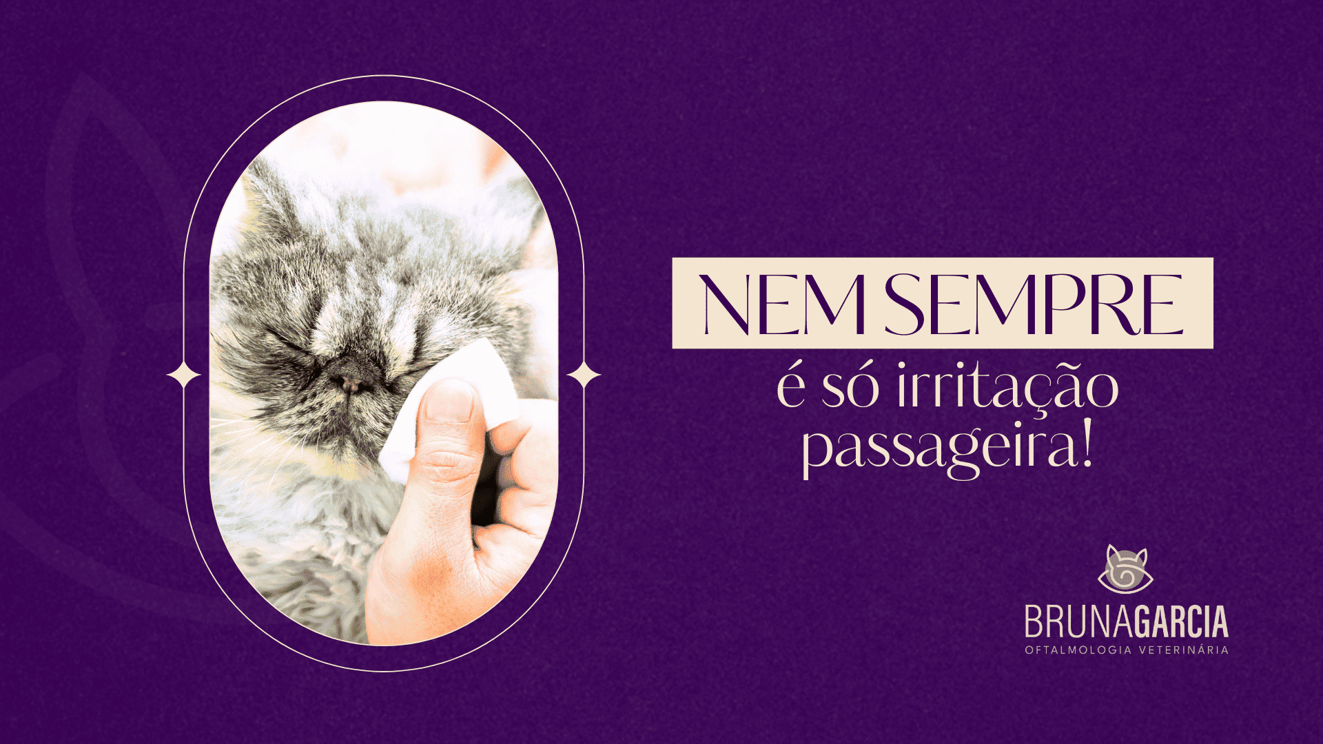 oftalmologia-olhos-vermelhos-em-pet-sao-paulo