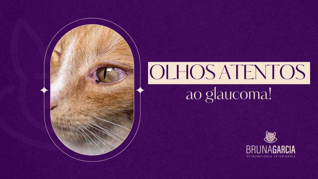 glaucoma-em-caes-e-gatos